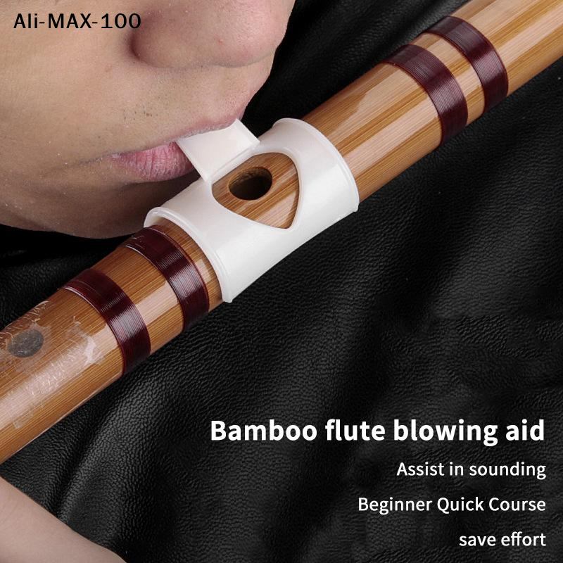 【AyS】Bamboo Flute Blowing Aid  – Musical Instrument You Blow Bewertung und Preis