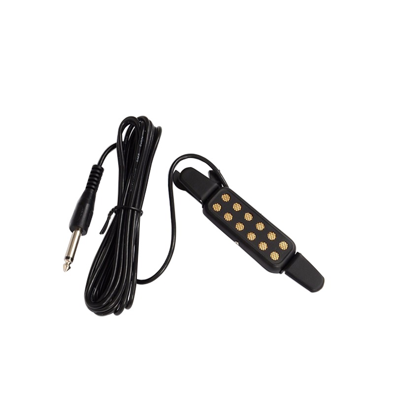 Professional Classic Acoustic  – Musical Instrument Amplifier Bewertung und Preis
