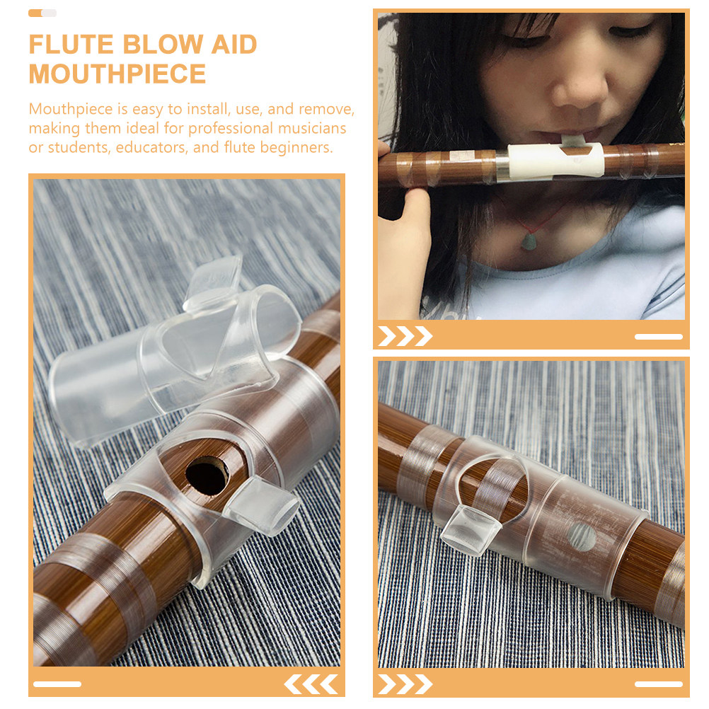 2Pcs Flute Blow Aid Mouthpiece – Musical Instrument You Blow Bewertung und Preis